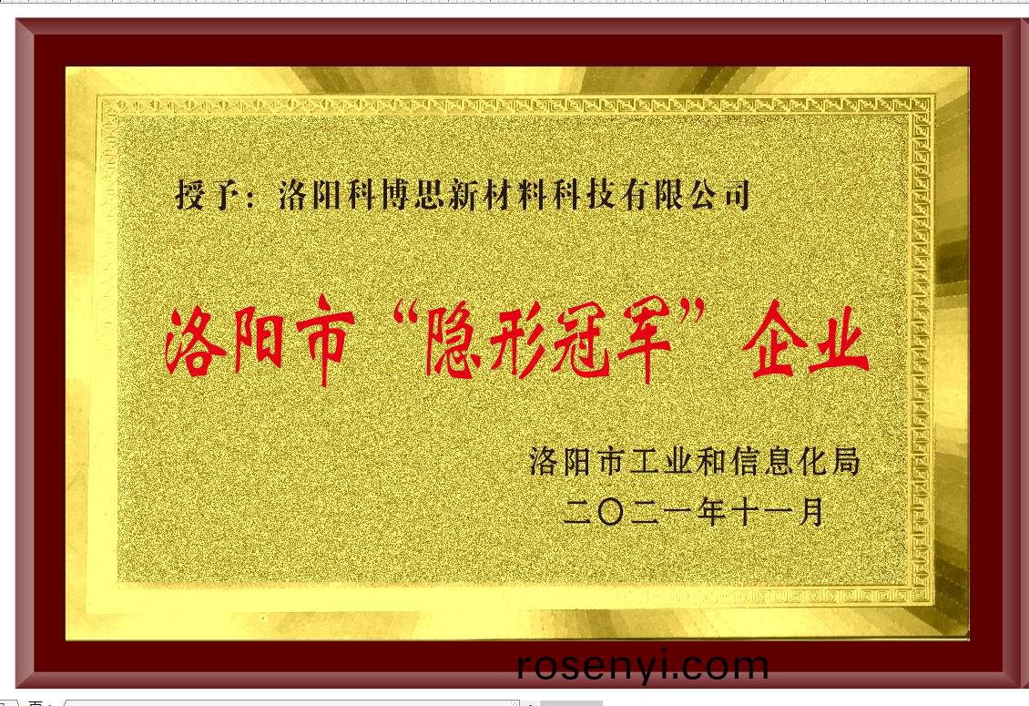 隱形冠軍企業(ye)