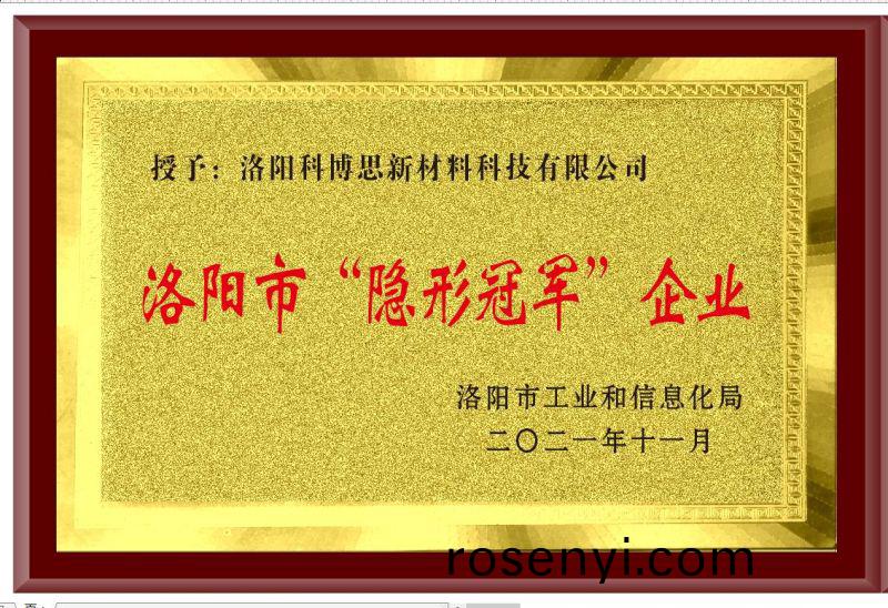 隱(yin)形冠軍企業(ye)